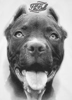 Koszulka damska Pitbull IR