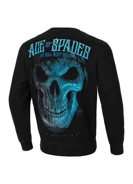 Bluza męska Blue Skull