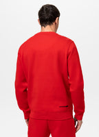 Bluza DOGWOOD