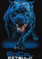 Bluza męska In Blue