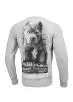 Bluza męska Mugshot
