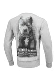 Bluza męska Mugshot