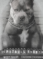 Bluza męska Mugshot