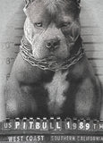 Bluza męska Mugshot