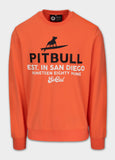 Bluza męska SURFING DOG