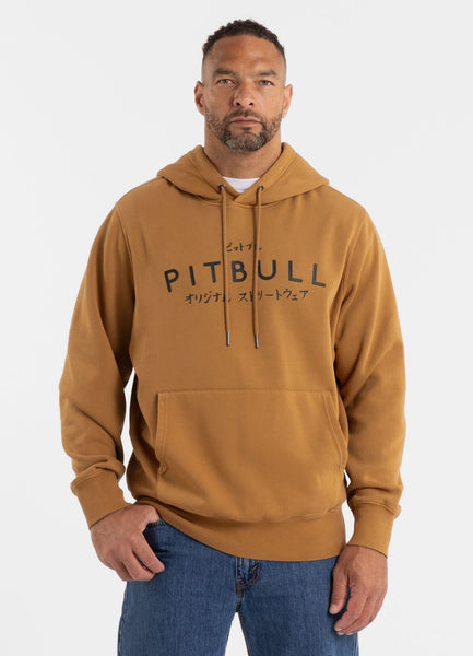 Bluza męska z kapturem Washed MT FUJI