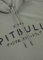 Bluza męska z kapturem Washed MT FUJI