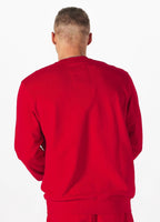Bluza Terry Small Logo
