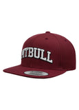 Czapka Snapback PITBULL
