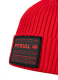 Czapka zimowa Pitbull Dock