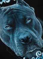 Koszulka Blue Eyed Devil 23