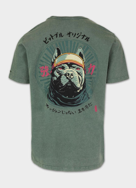 Koszulka męska Denim Washed MT. FUJI