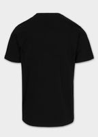 Koszulka męska Garment Washed SMALL LOGO