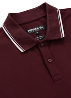 Koszulka Polo Pique Stripes Regular