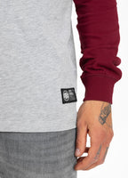 Longsleeve z kapturem Garment Washed Raglan Small Logo