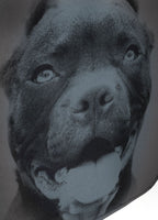 Plecak Pitbull IR