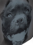 Plecak Pitbull IR