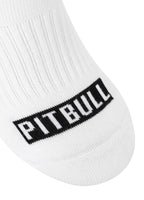 Skarpety Pad Pitbull cienkie 3-pak