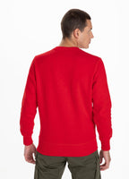 Bluza Small Logo 21