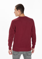 Bluza Small Logo 21