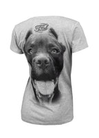Damska koszulka PITBULL IR Szara - kup z Pit Bull West Coast Oficjalny Sklep