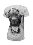 Damska koszulka PITBULL IR Szara - kup z Pit Bull West Coast Oficjalny Sklep