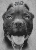Damska koszulka PITBULL IR Szara - kup z Pit Bull West Coast Oficjalny Sklep