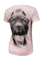Damska koszulka PITBULL IR Różowa - kup z Pit Bull West Coast Oficjalny Sklep