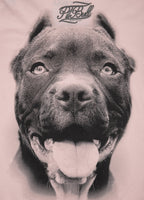 Damska koszulka PITBULL IR Różowa - kup z Pit Bull West Coast Oficjalny Sklep